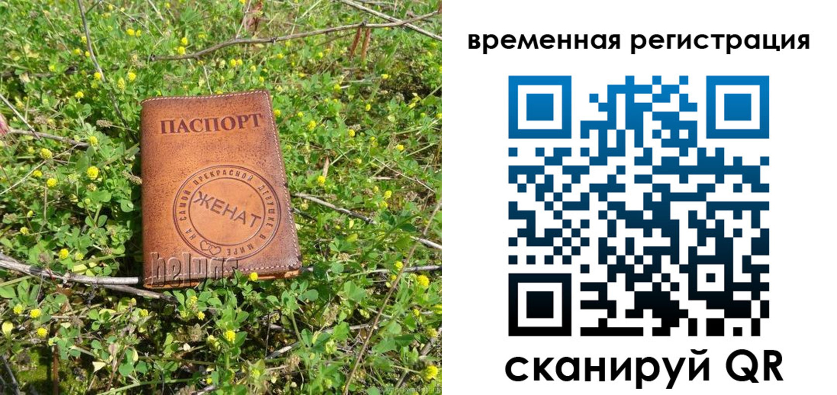 прописка регистрация в Николаевске